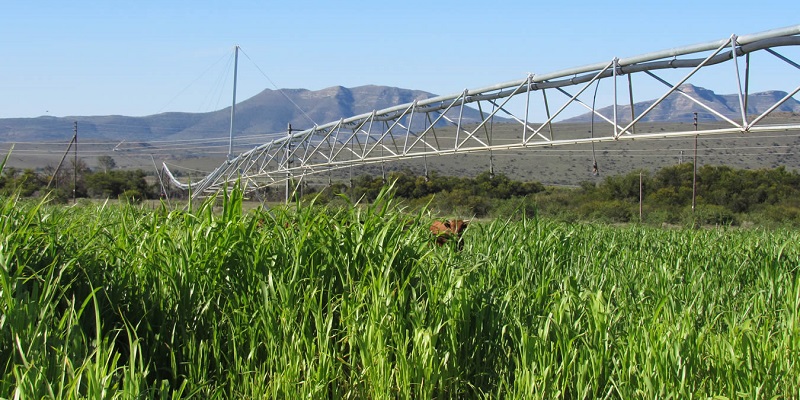 Cost Effective Irrigation with Centre Pivot Irrigation Systems